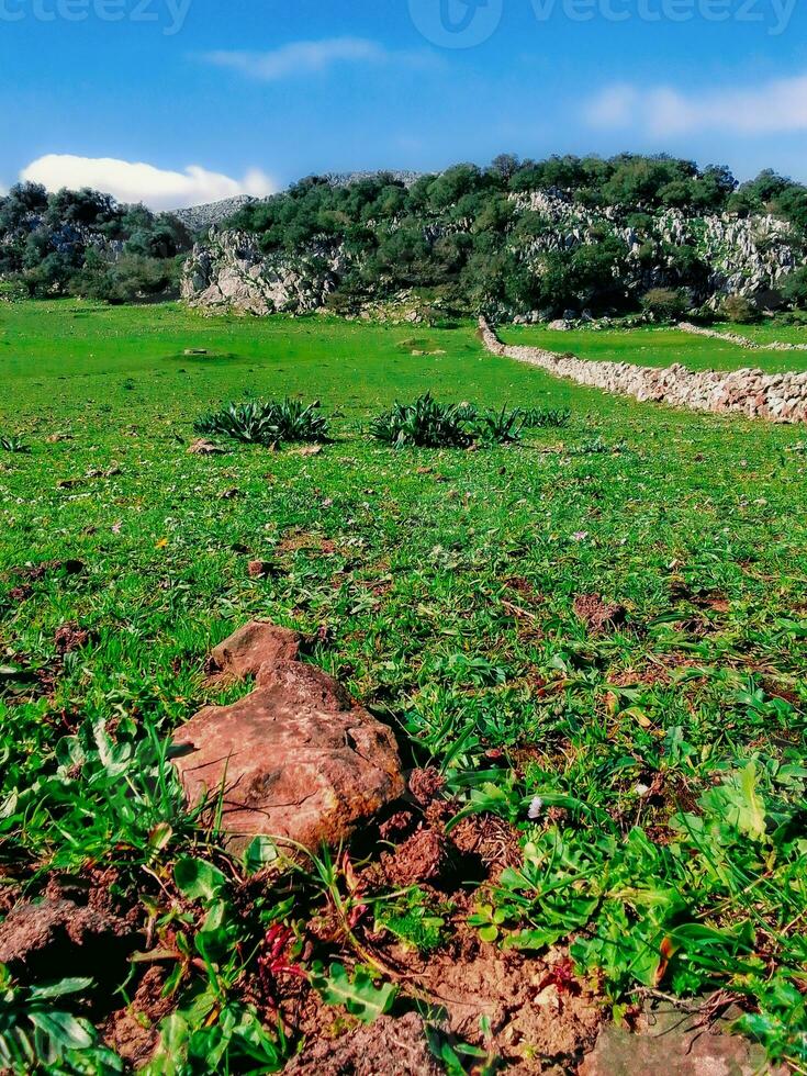 cativante a beleza do uma pitoresco montanha panorama foto