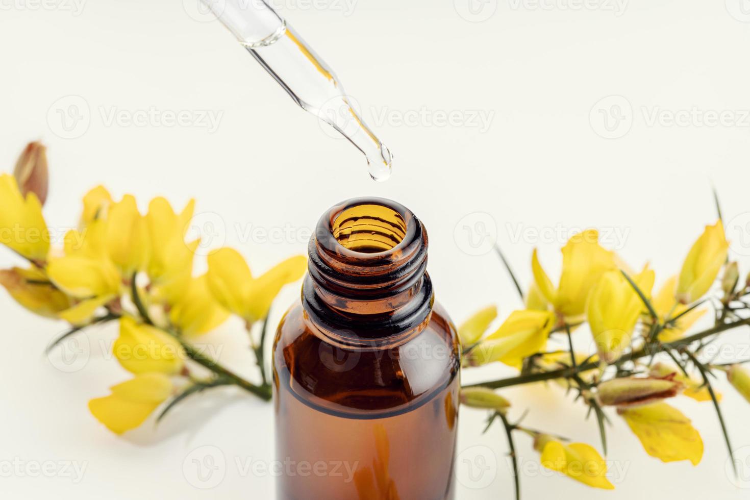 close-up de uma pipeta de garrafa âmbar e galho de flor amarela foto