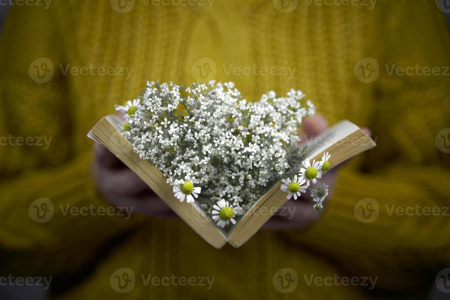 menina com livro e buquê foto