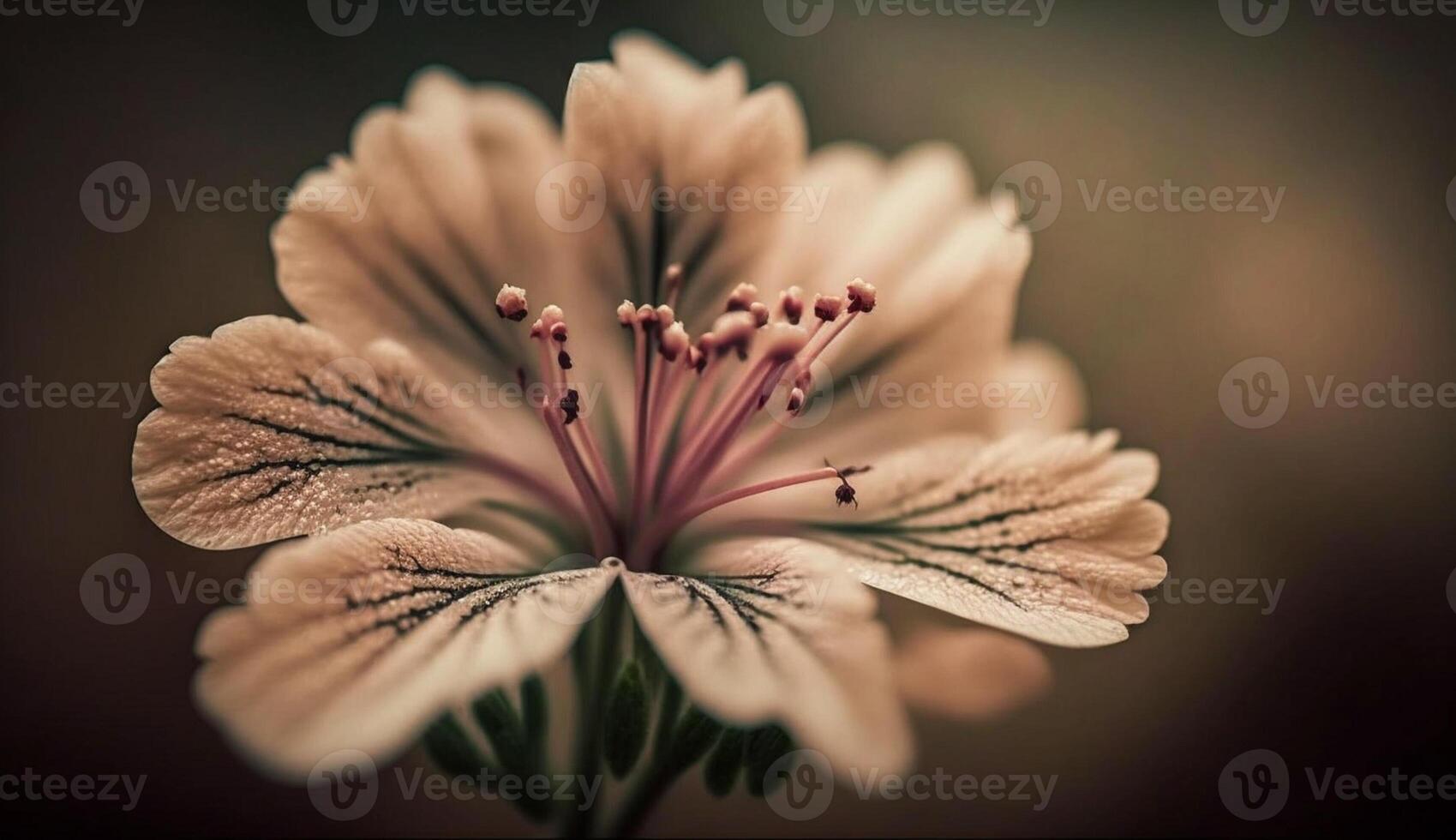 fechar acima do uma Rosa e amarelo margarida gerado de ai foto