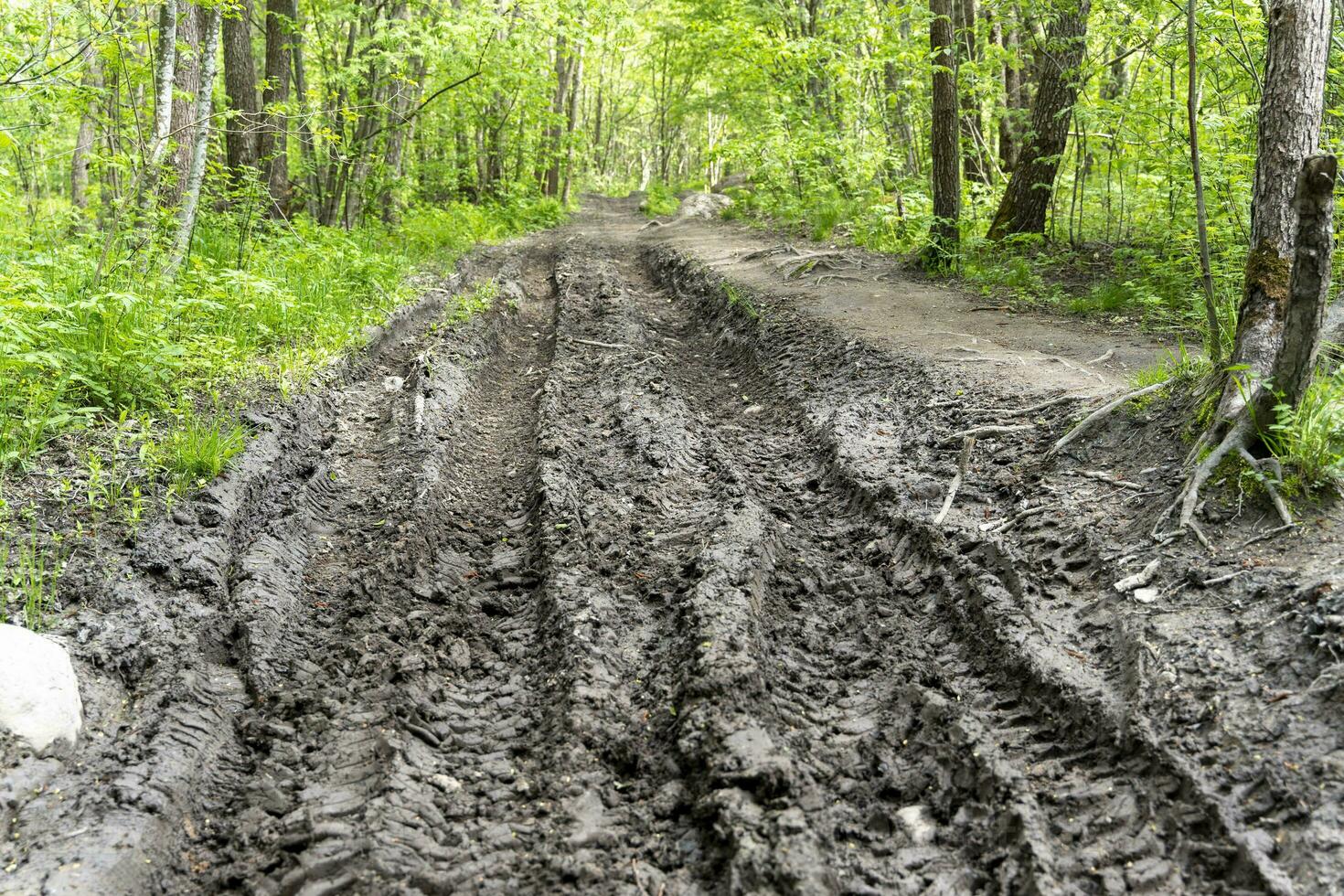 intransitável floresta estrada, turvar depois de chuvas, com vestígios do caminhão pneus foto