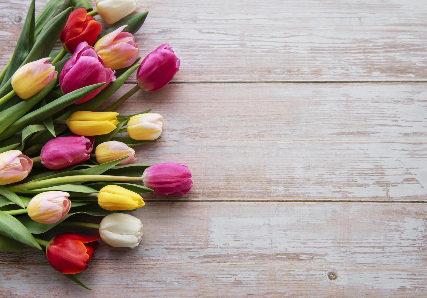 tulipas da primavera em um fundo de madeira foto