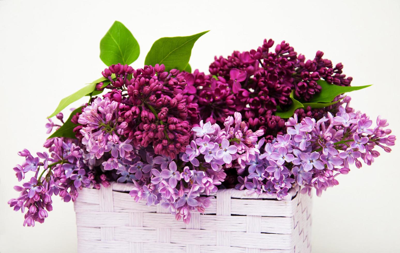flores lilás em uma cesta foto