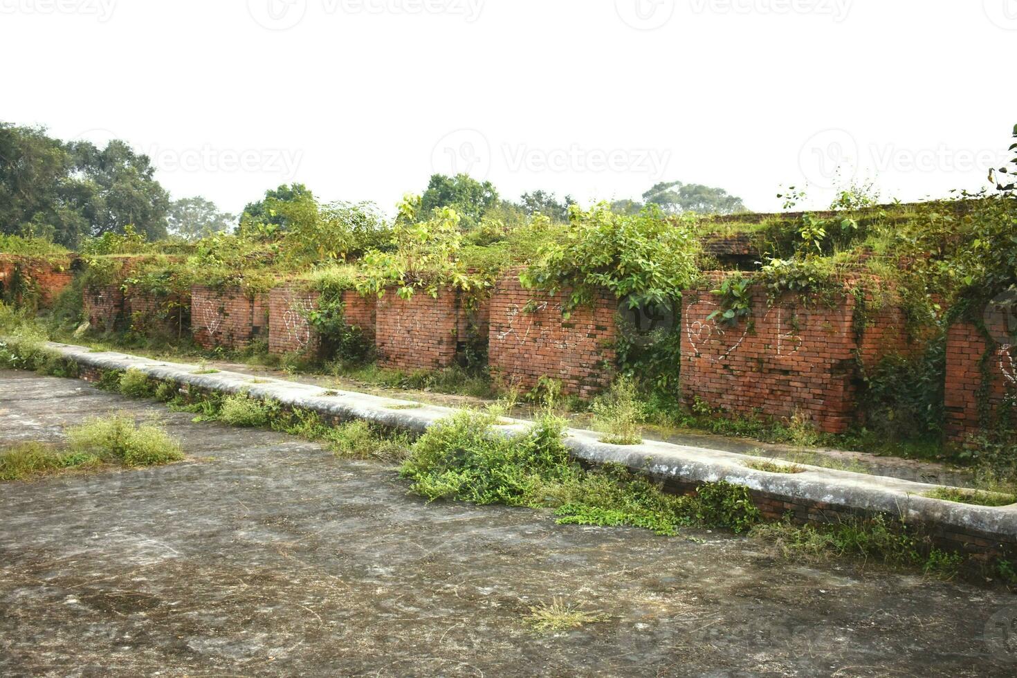 ruínas do nalanda universidade foto