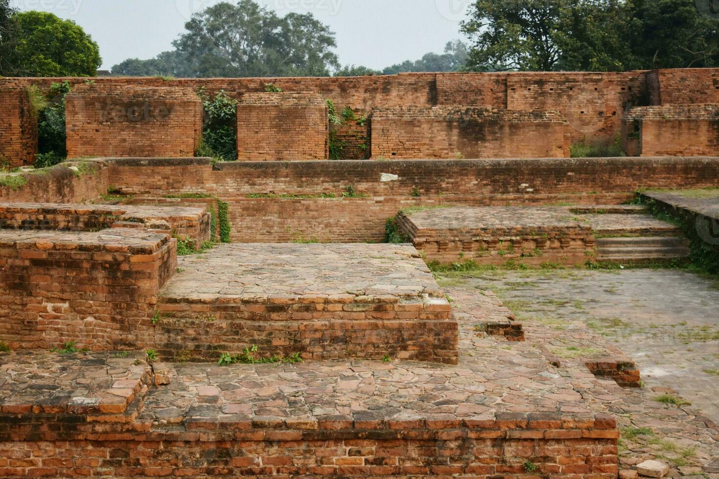 ruínas do nalanda universidade foto