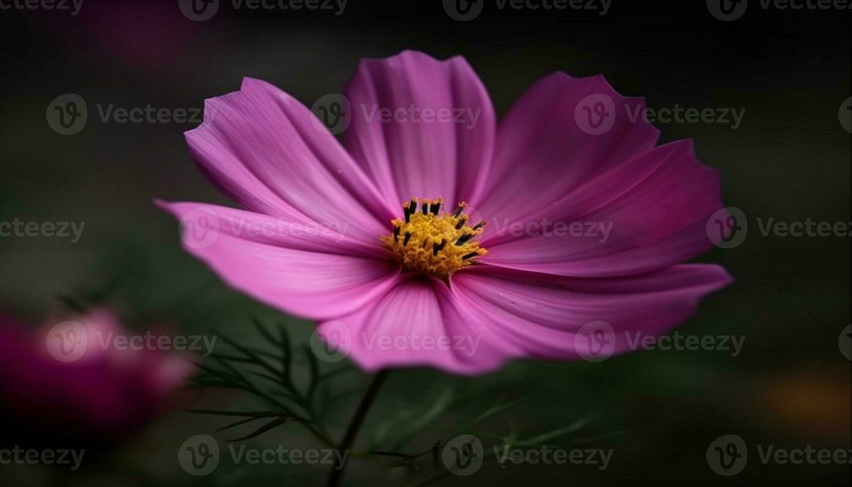 vibrante flores silvestres Prado vitrines beleza dentro natureza fragilidade e crescimento gerado de ai foto