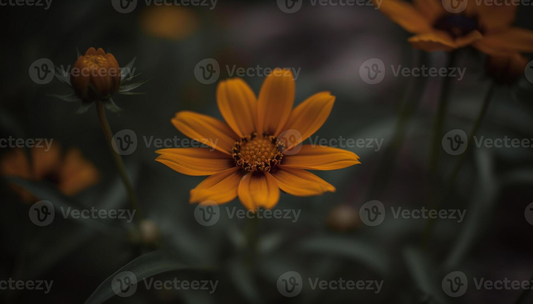 amarelo margarida Flor dentro vibrante Prado, cercado de verde folhagem gerado de ai foto