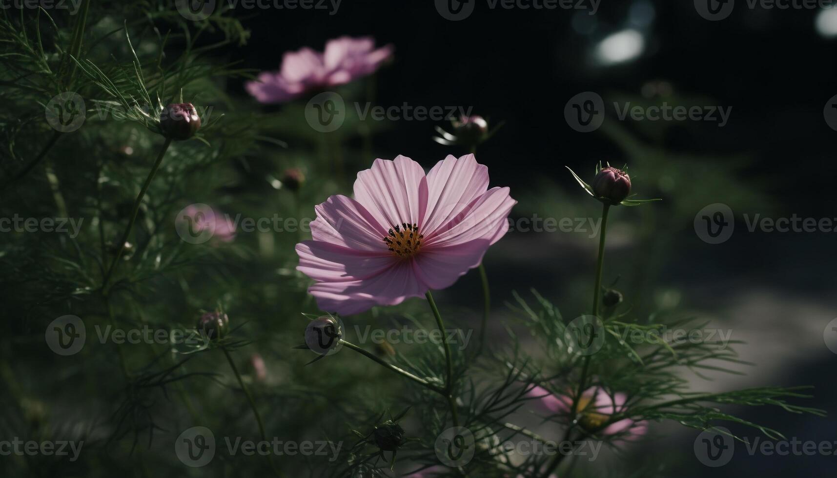 vibrante flores silvestres Prado vitrines beleza dentro natureza delicado Formato gerado de ai foto