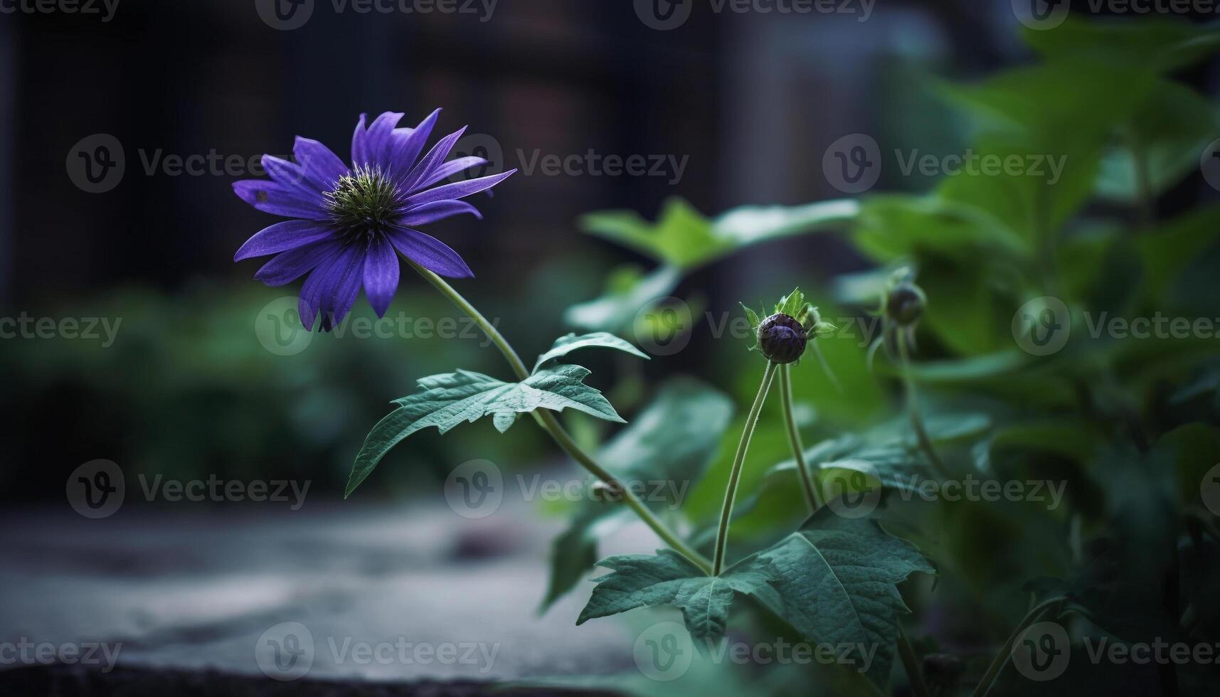 fresco roxa flores silvestres Flor dentro fechar acima, exibindo natural beleza gerado de ai foto