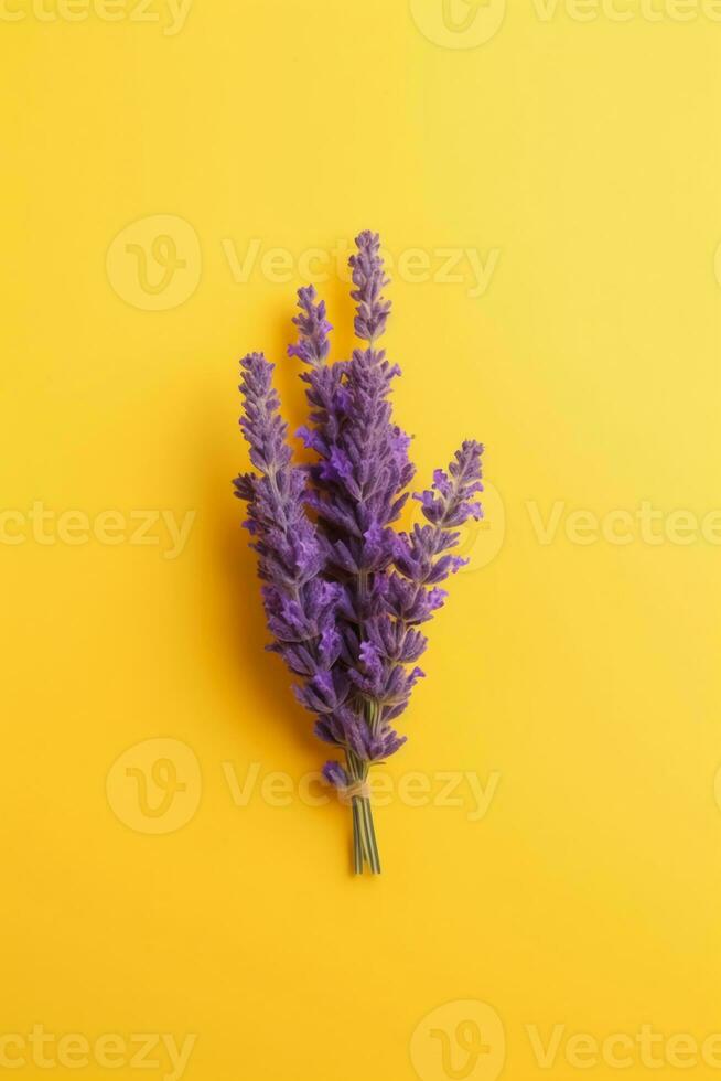 uma pequeno lavanda em todos lados do a cenário. ai generativo foto