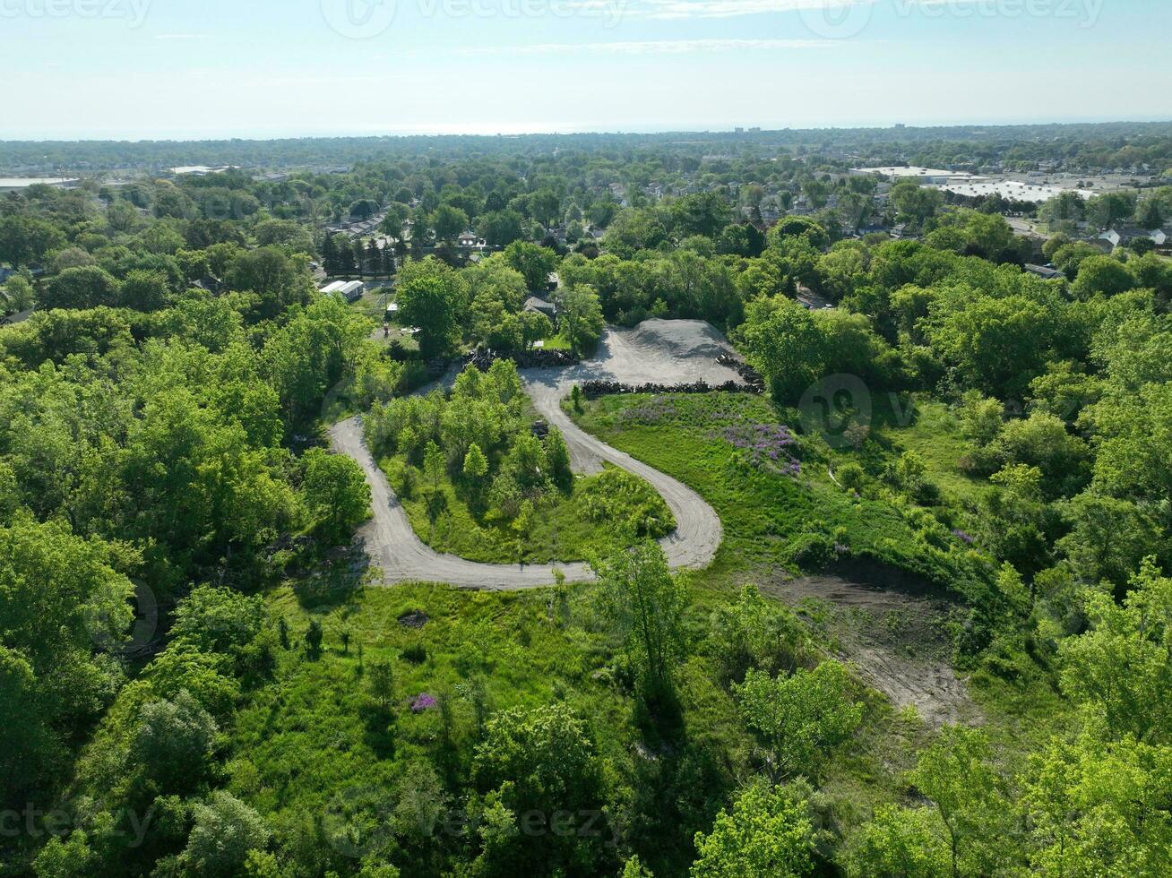 uma tirar o fôlego, maior ângulo Visão do uma exuberante floresta, cheio do verde plantas e árvores com a expansivo panorama alongamento para a horizonte. uma perfeito momento do tranquilidade dentro naturezas beleza. foto