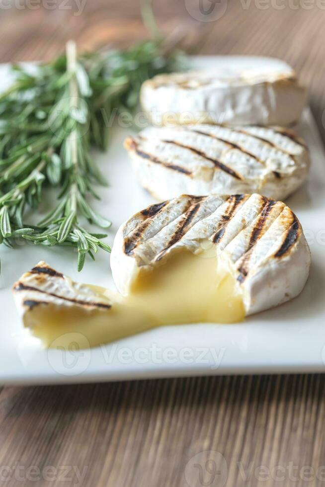 grelhado queijo Camembert queijo com fresco alecrim foto