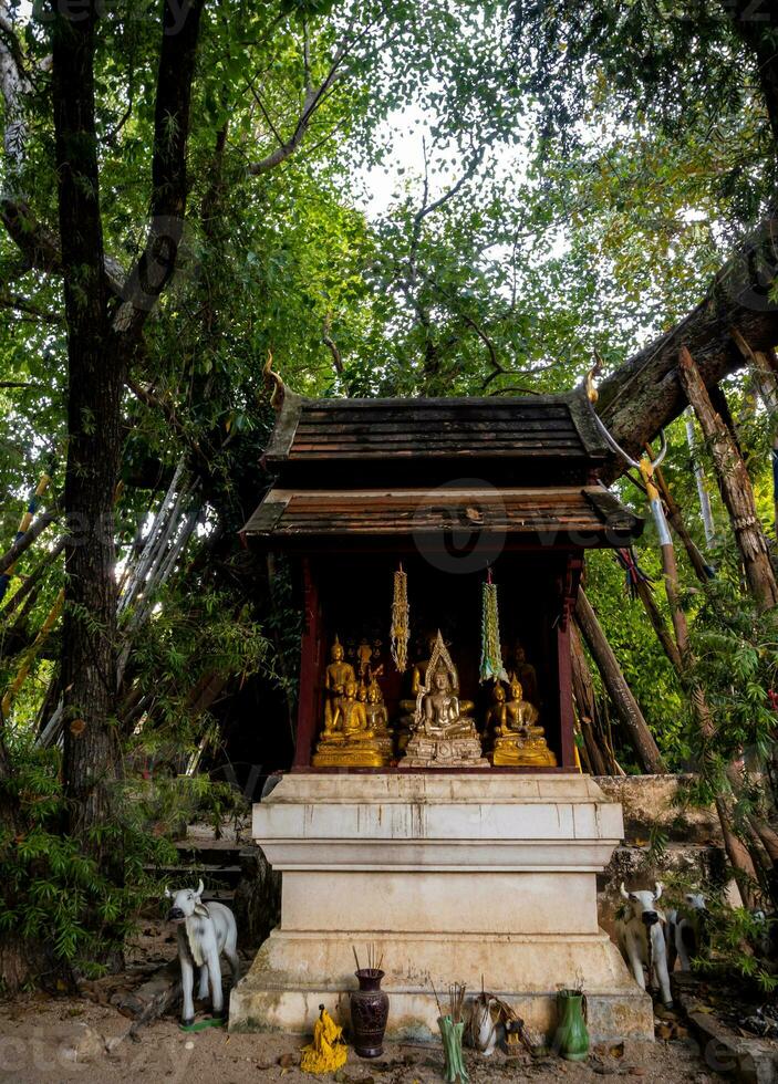 Buda estátua dentro a antigo santuário debaixo a sombra do uma grande árvore foto