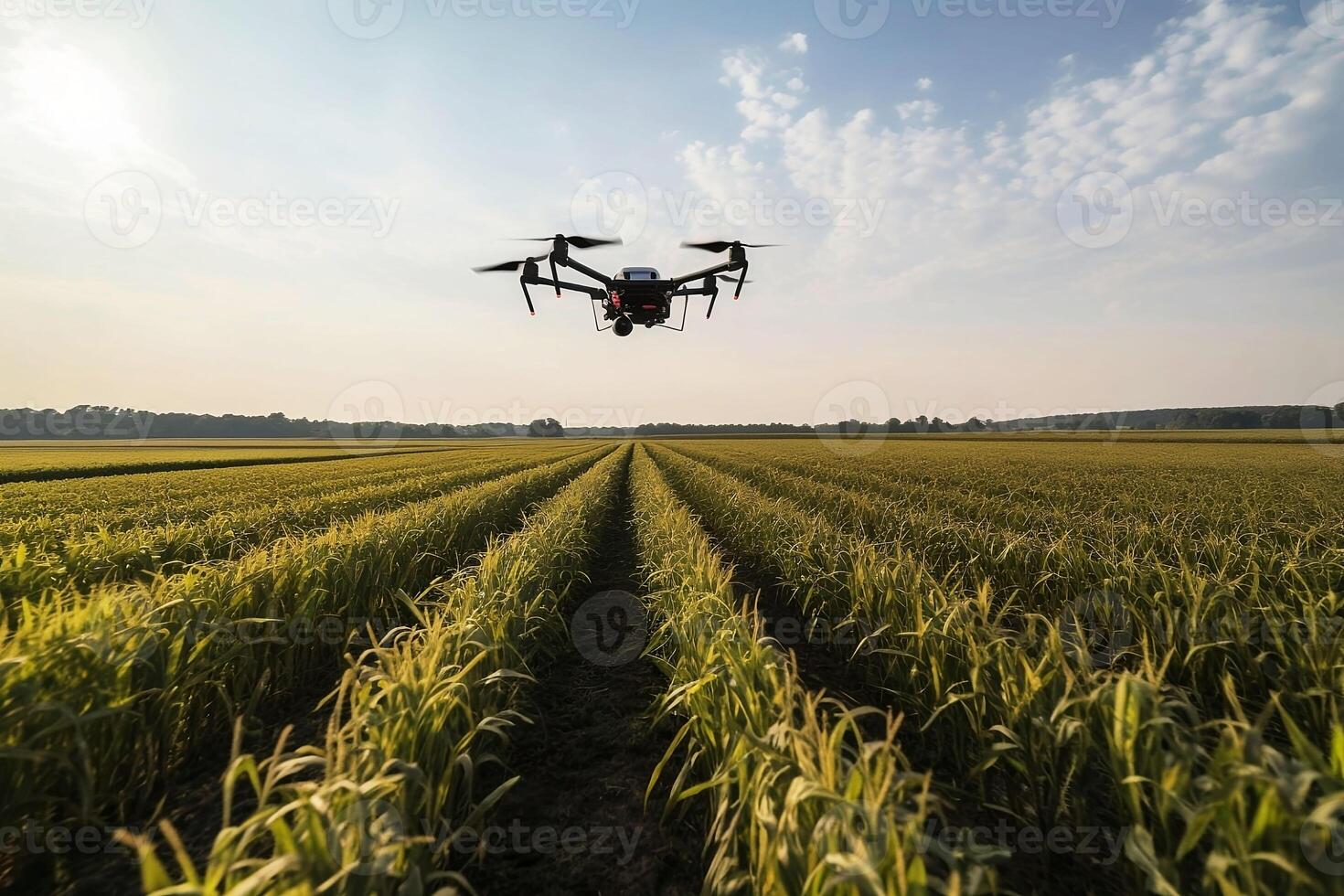 zangão mosca sobre inteligente agricultura tecnologia dentro uma milho campo ai gerado foto