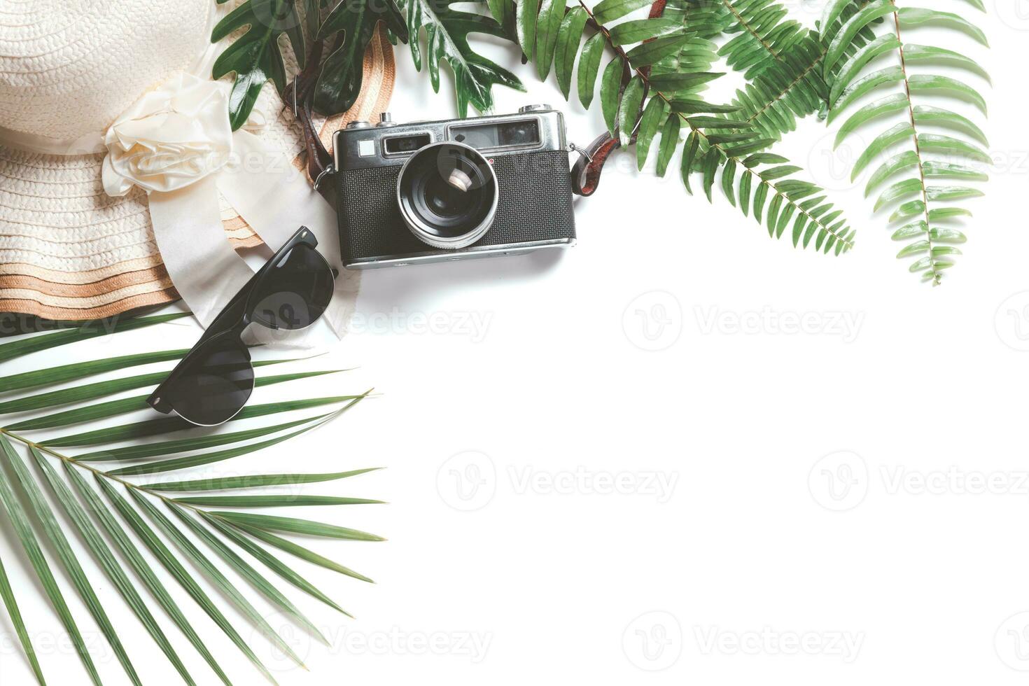 viajante acessórios, tropical folhas com grande chapéu e vintage Câmera foto