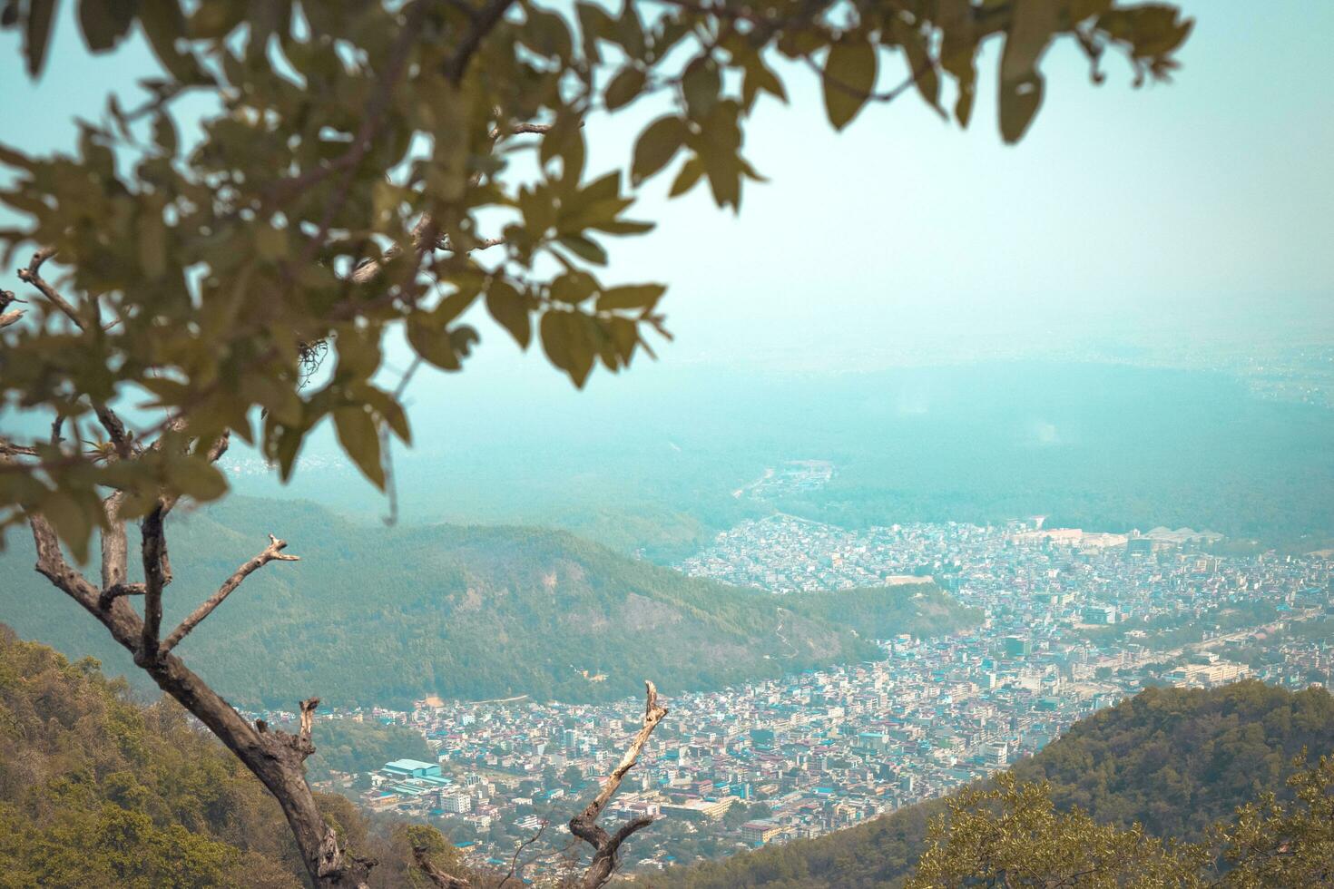 cidade através a árvore galhos foto