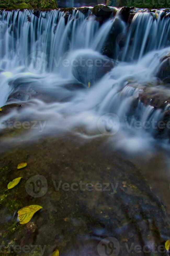 lindo Visão do cachoeira, água fluxo dentro rio com cascata Visão foto