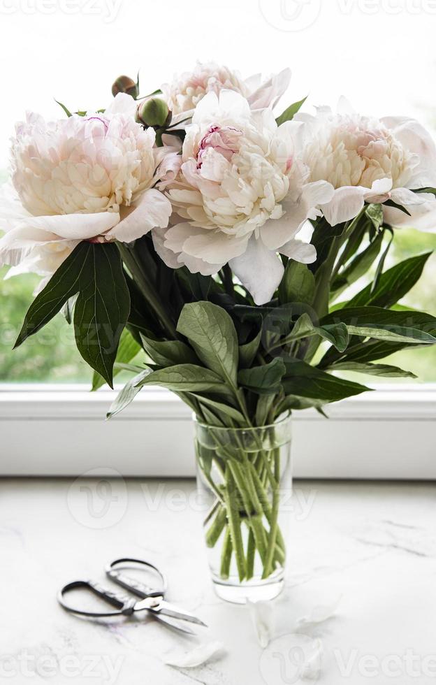 lindo buquê de peônia rosa em um vaso foto