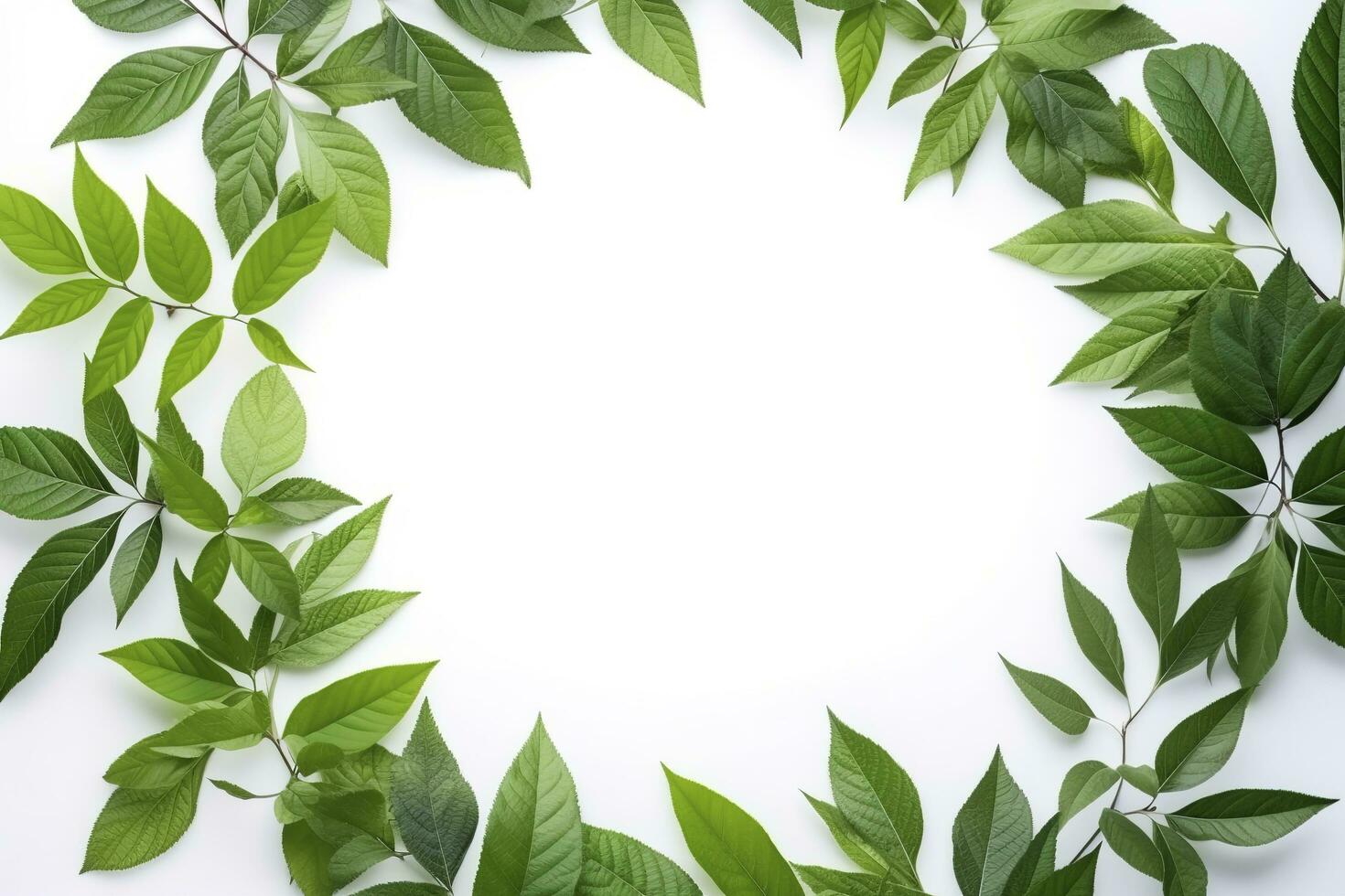 verde folhas em branco fundo saudável estilo de vida foto lindo papel de parede natureza conceito arte Ideias , gerar ai