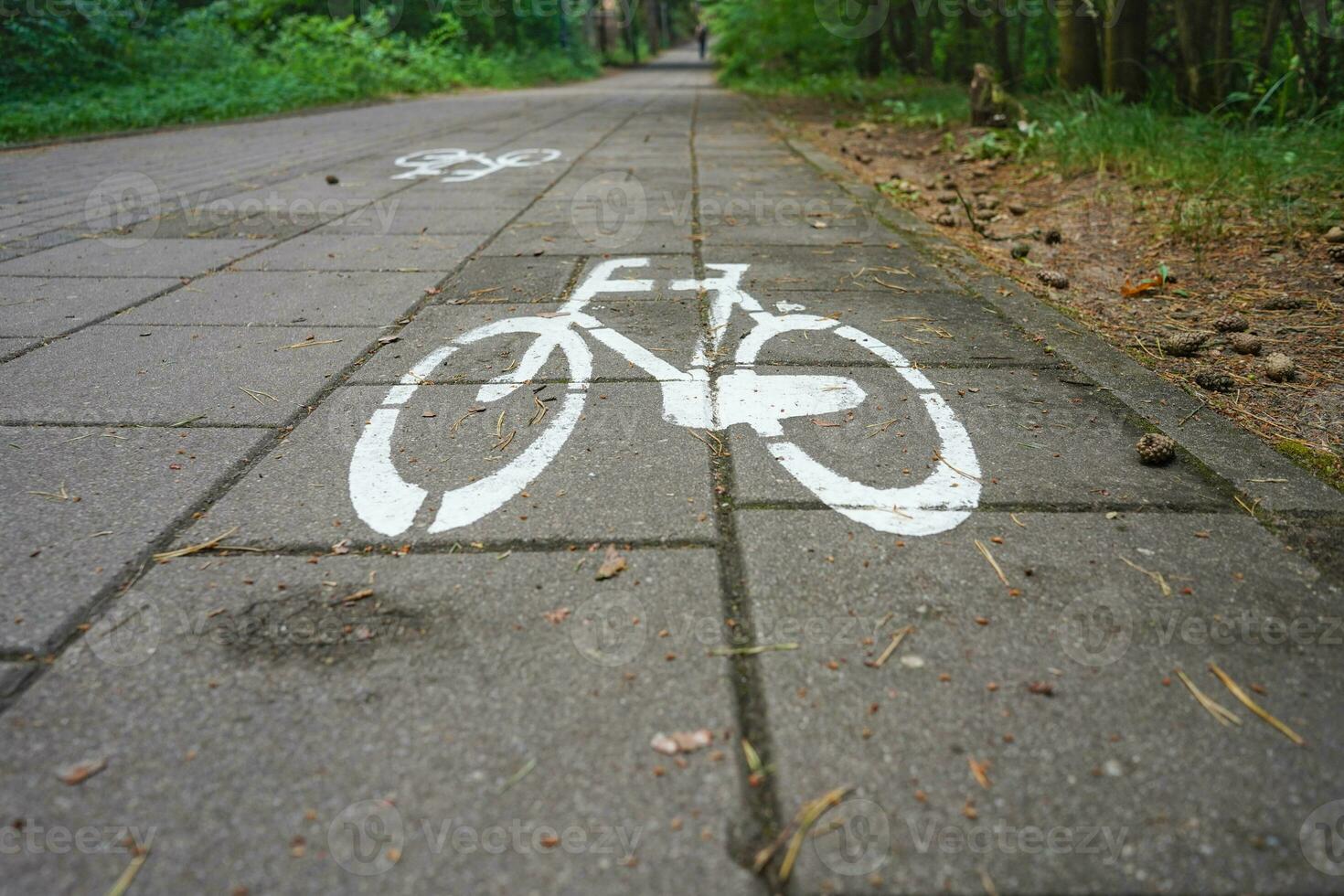 bicicleta caminho dentro a floresta. ciclo caminho assinado com branco pintura em a concreto. foto