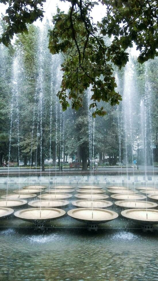 fontes dentro a parque entre vegetação foto