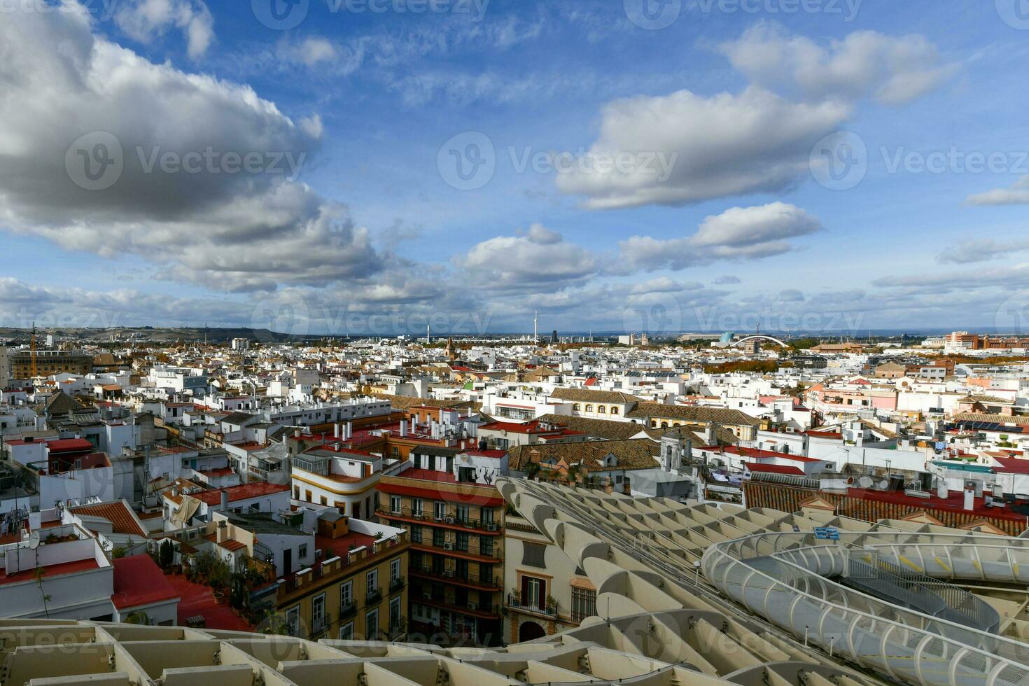 cogumelos do Sevilha - sevilha, Espanha foto