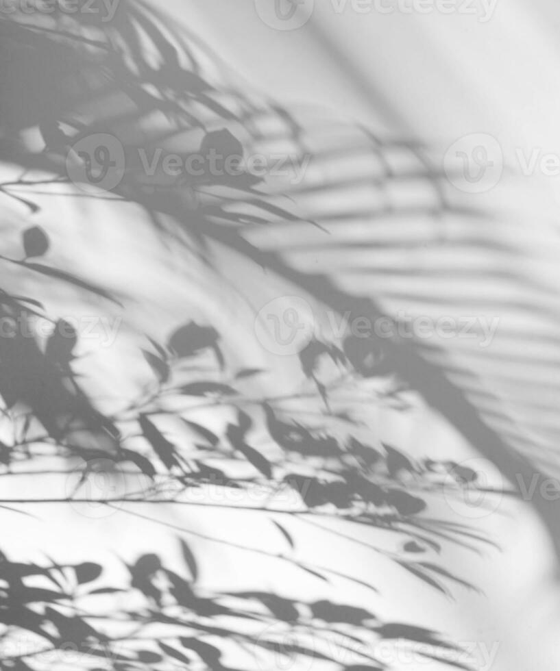 folhas natural sombra sobreposição em branco textura fundo vertical estilo, para sobreposição em produtos apresentação, pano de fundo e brincar foto