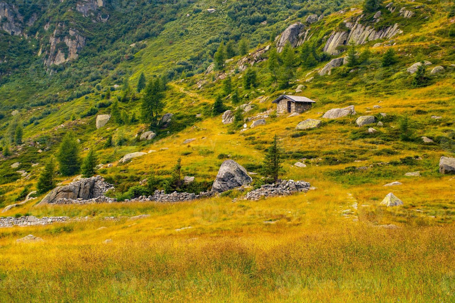 caminho com pedras foto