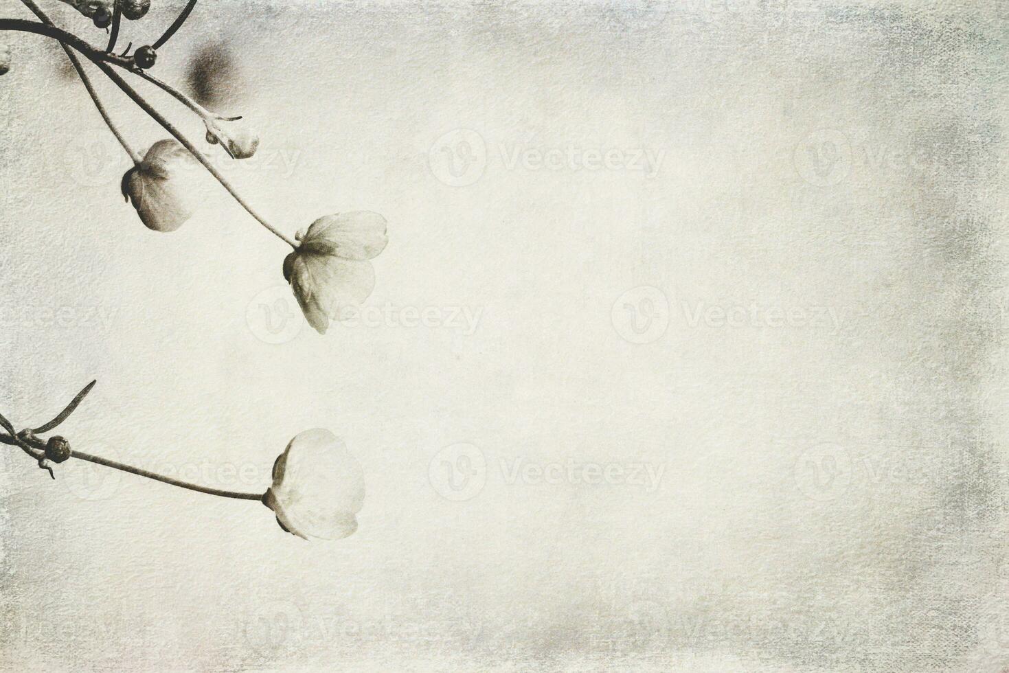 pequeno original delicado livre campo flores em uma luz fundo foto
