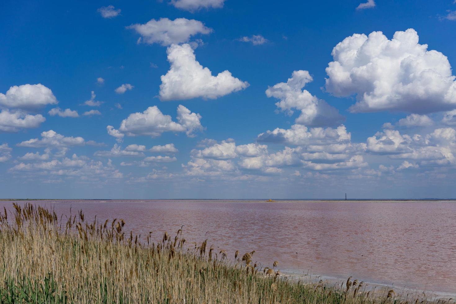 o céu nublado sobre o lago rosa foto