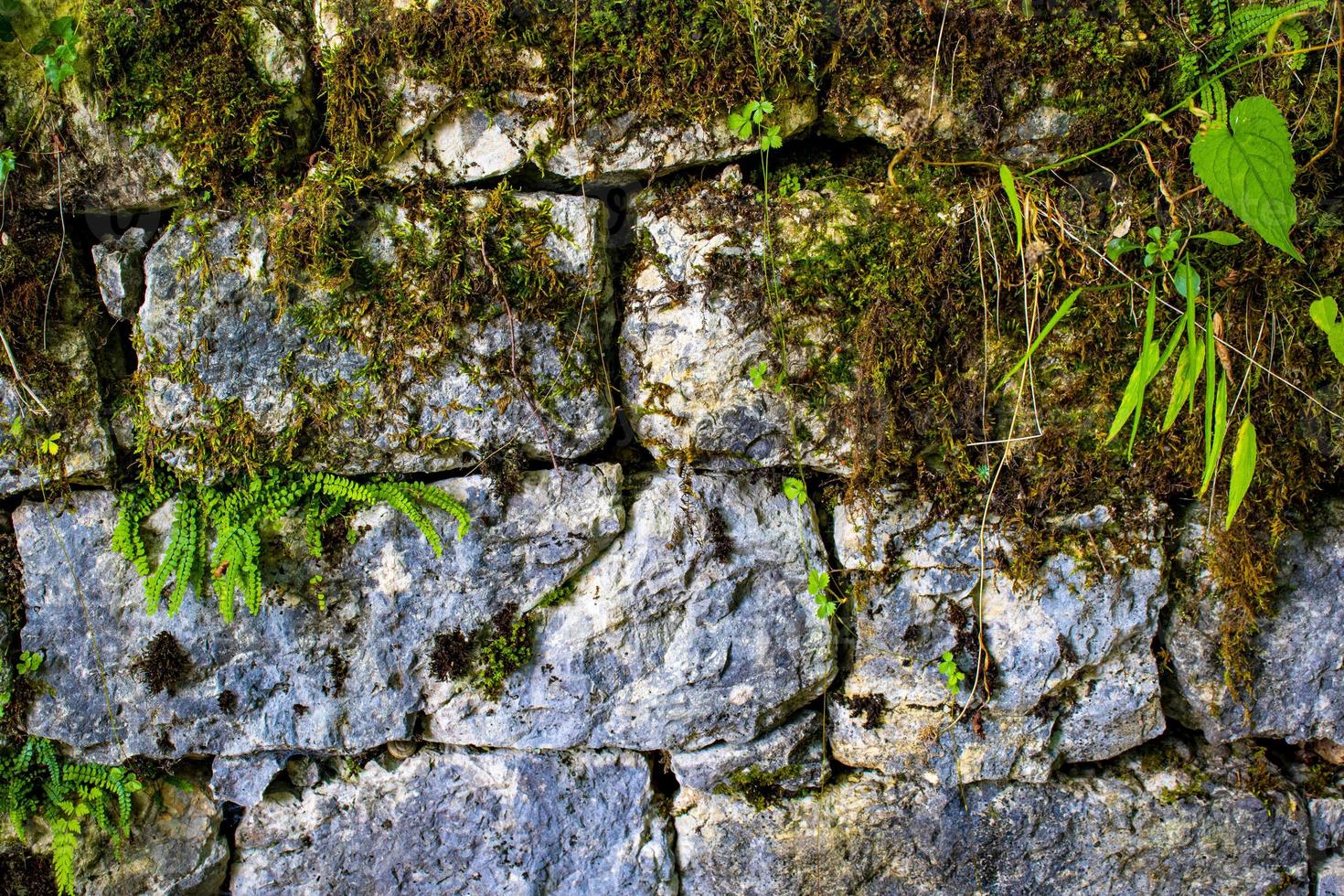 parede e pedras foto