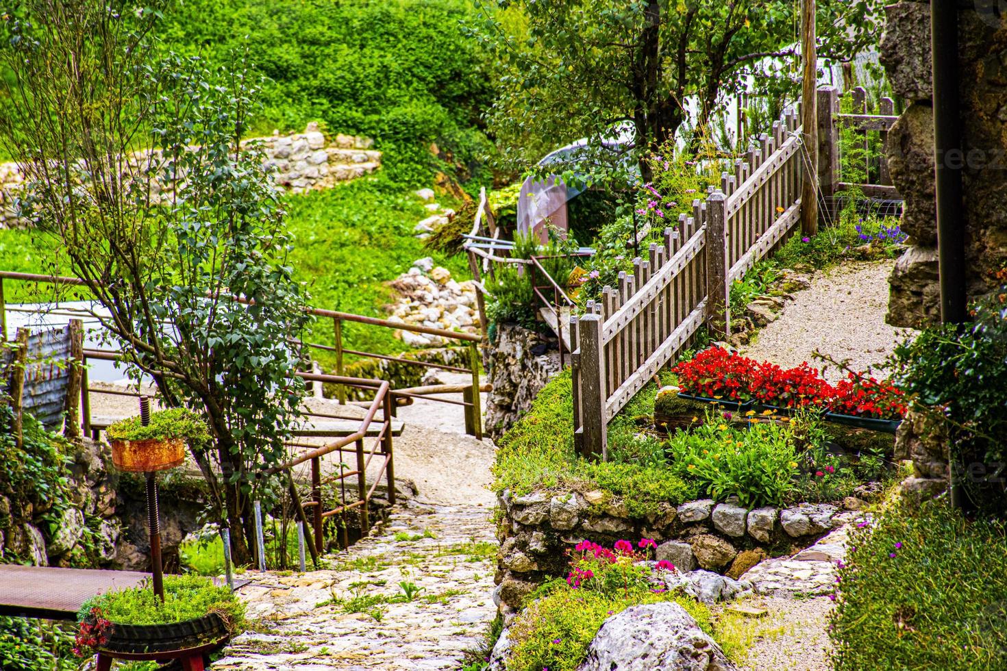 vista de um jardim foto