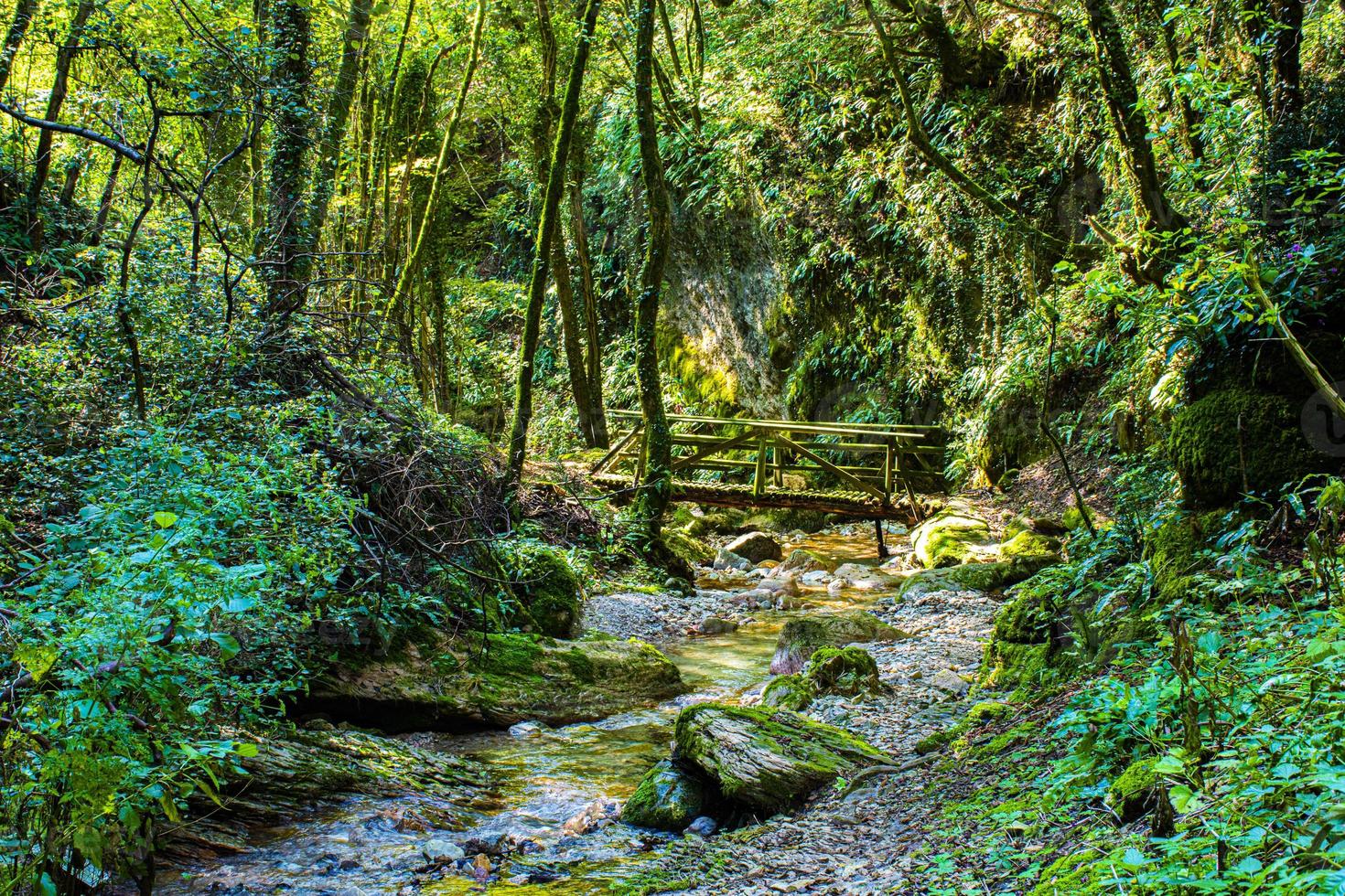 ponte sobre um riacho foto