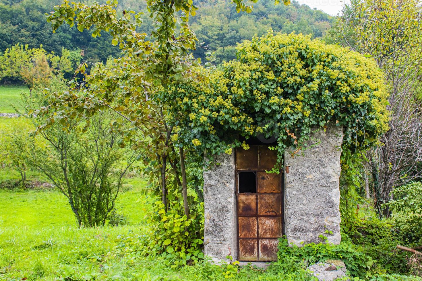 casinha velha no campo foto