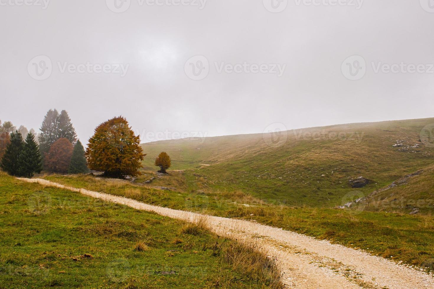 estrada de terra e árvores foto