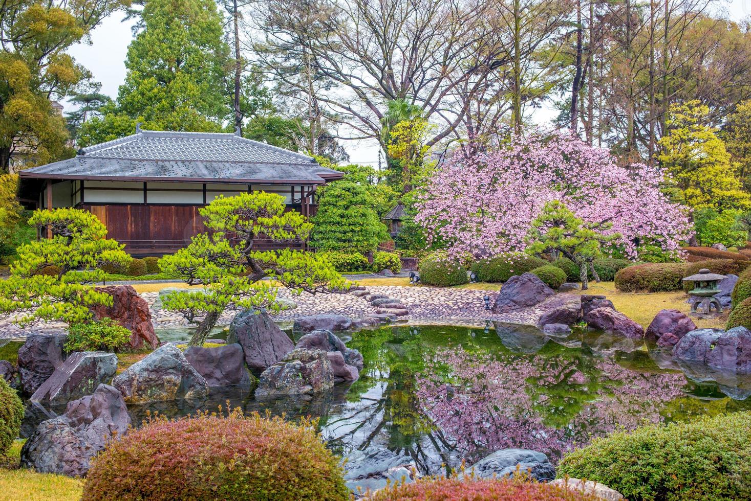 jardim ninomaru no castelo nijo em kyoto, no japão foto