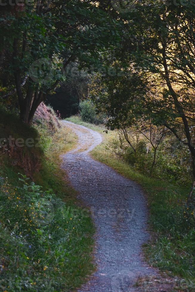 estrada na montanha na primavera foto