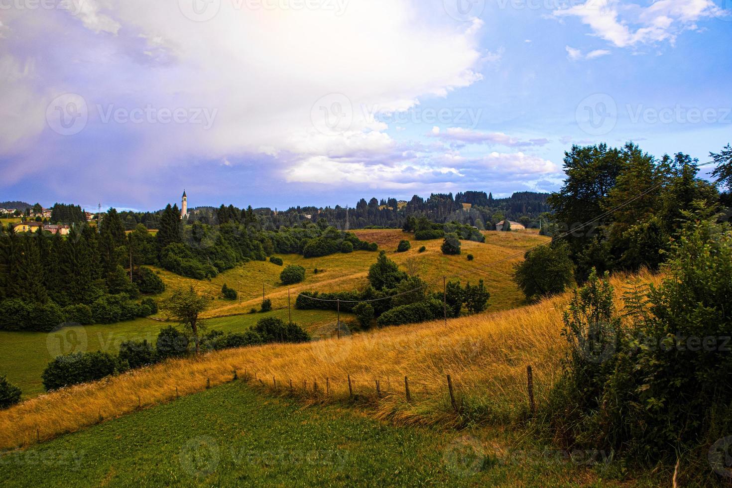 colinas e árvores foto