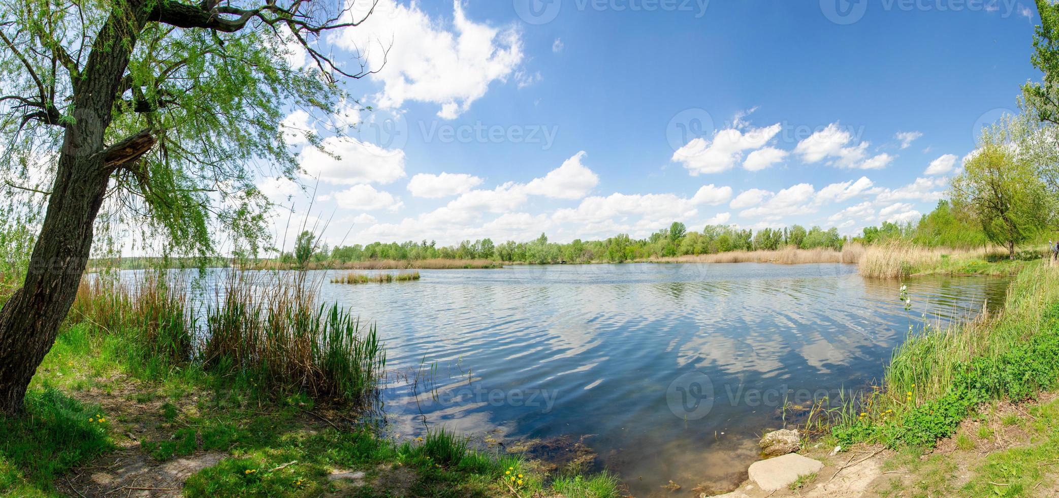 paisagem panorâmica em um dia de verão em um lago com juncos e um céu azul com nuvens foto