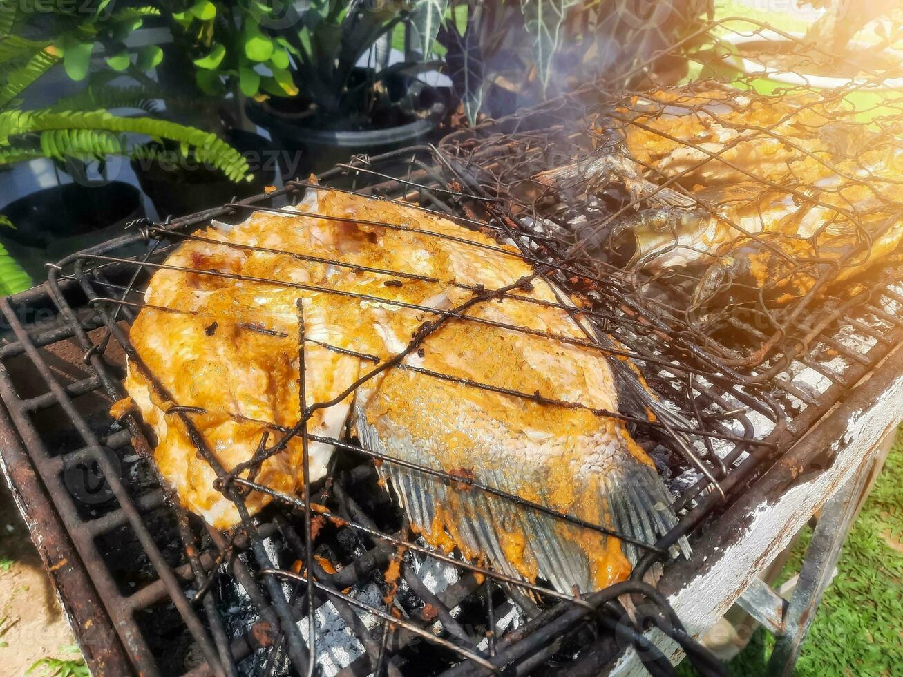 grelhado peixe em a grade. Nilo tilápia e pangas peixe-gato em a grade. Comida fotografia. ao ar livre cozinhando para almoço foto