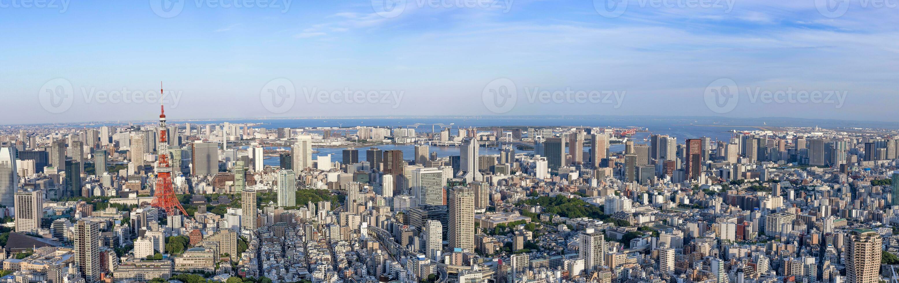 panorama Tóquio cidade Horizonte com Tóquio torre às crepúsculo dentro Japão, colorida cor - imagem foto