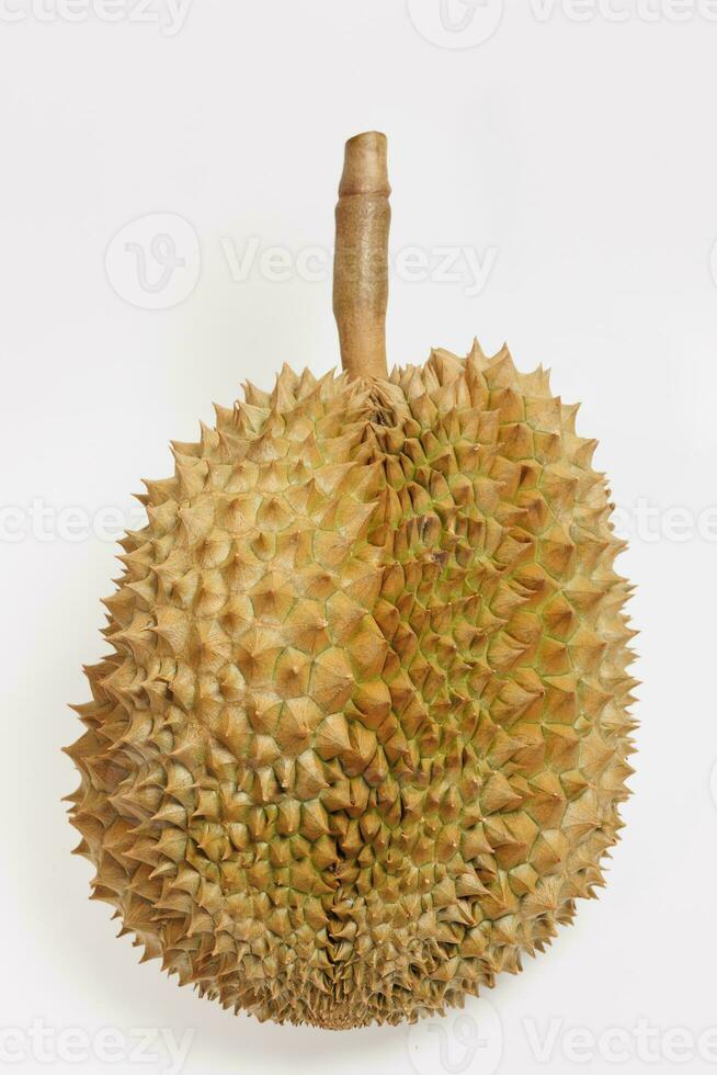 durian um mês, fresco durian fruta com isolado fundo foto