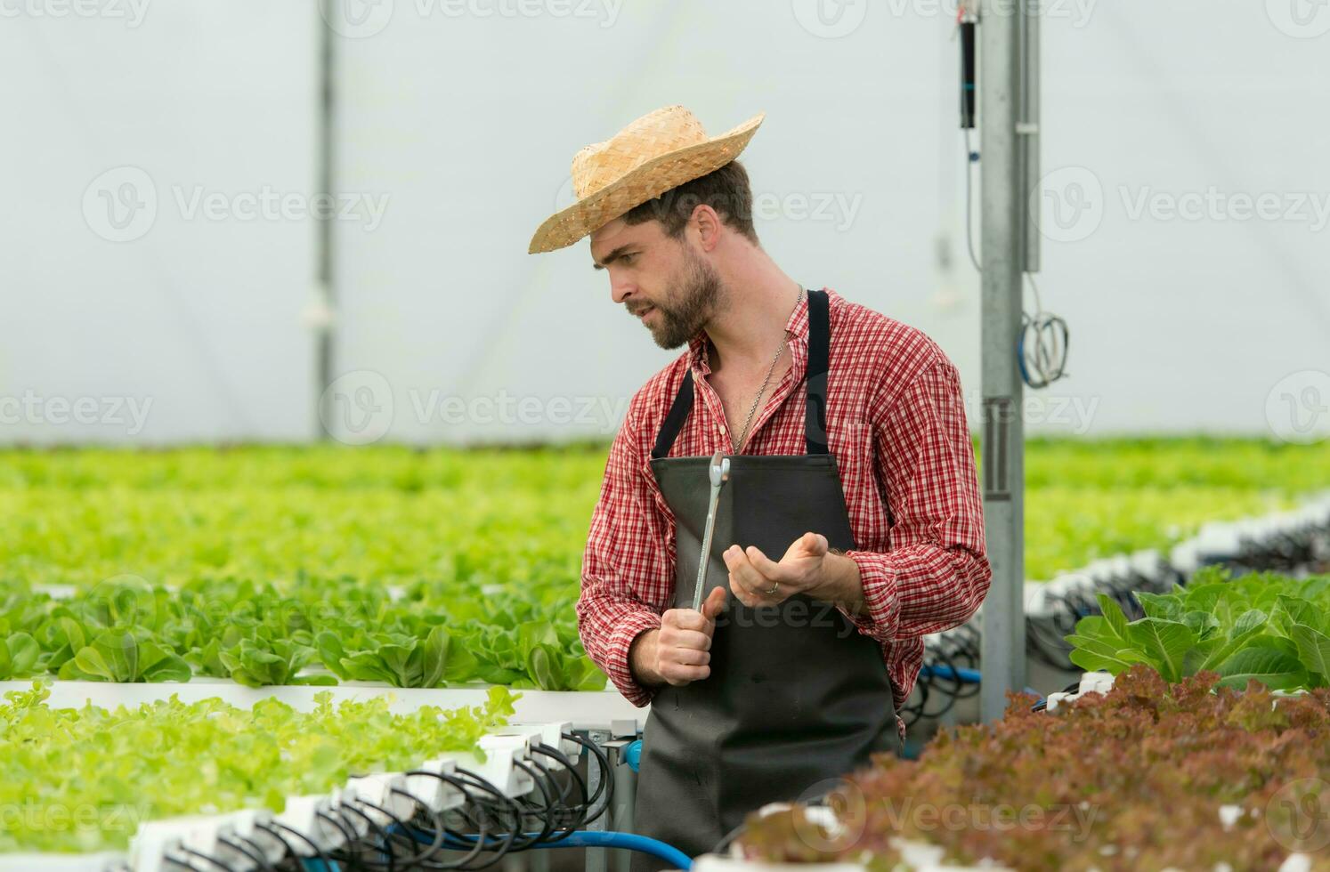 pequeno o negócio os Proprietários em uma missão para reparar e instalar seus próprio orgânico vegetal do jardim água a infraestrutura. foto