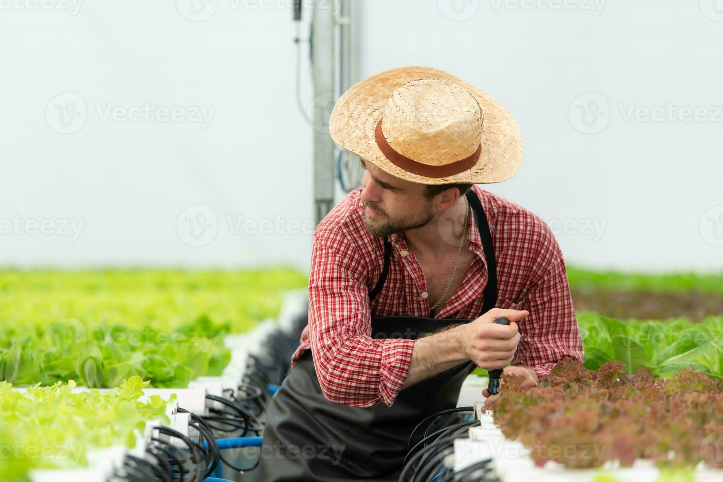 pequeno o negócio os Proprietários em uma missão para reparar e instalar seus próprio orgânico vegetal do jardim água a infraestrutura. foto