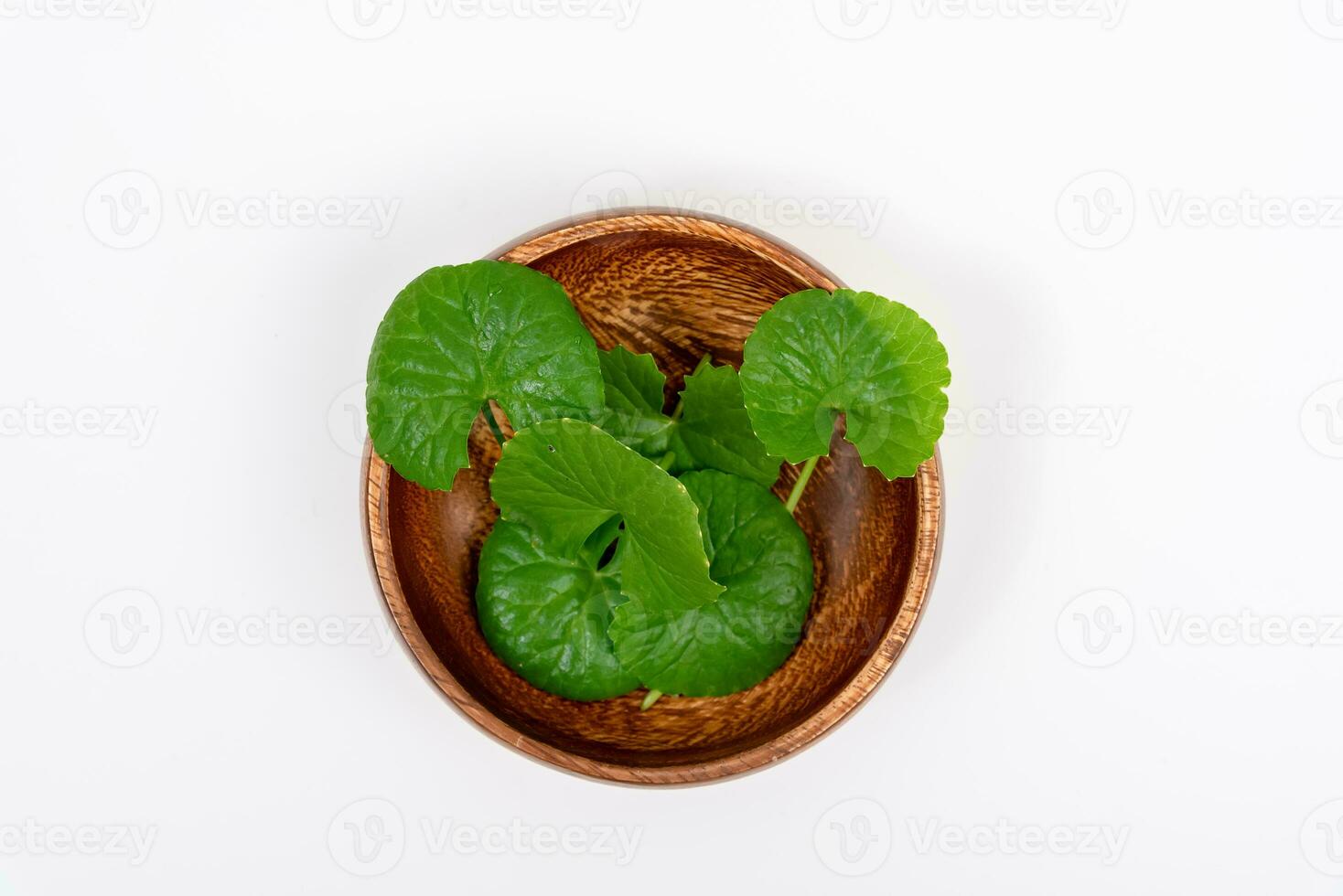 topo Visão em mesa centella asiática folhas com isolado em branco fundo foto