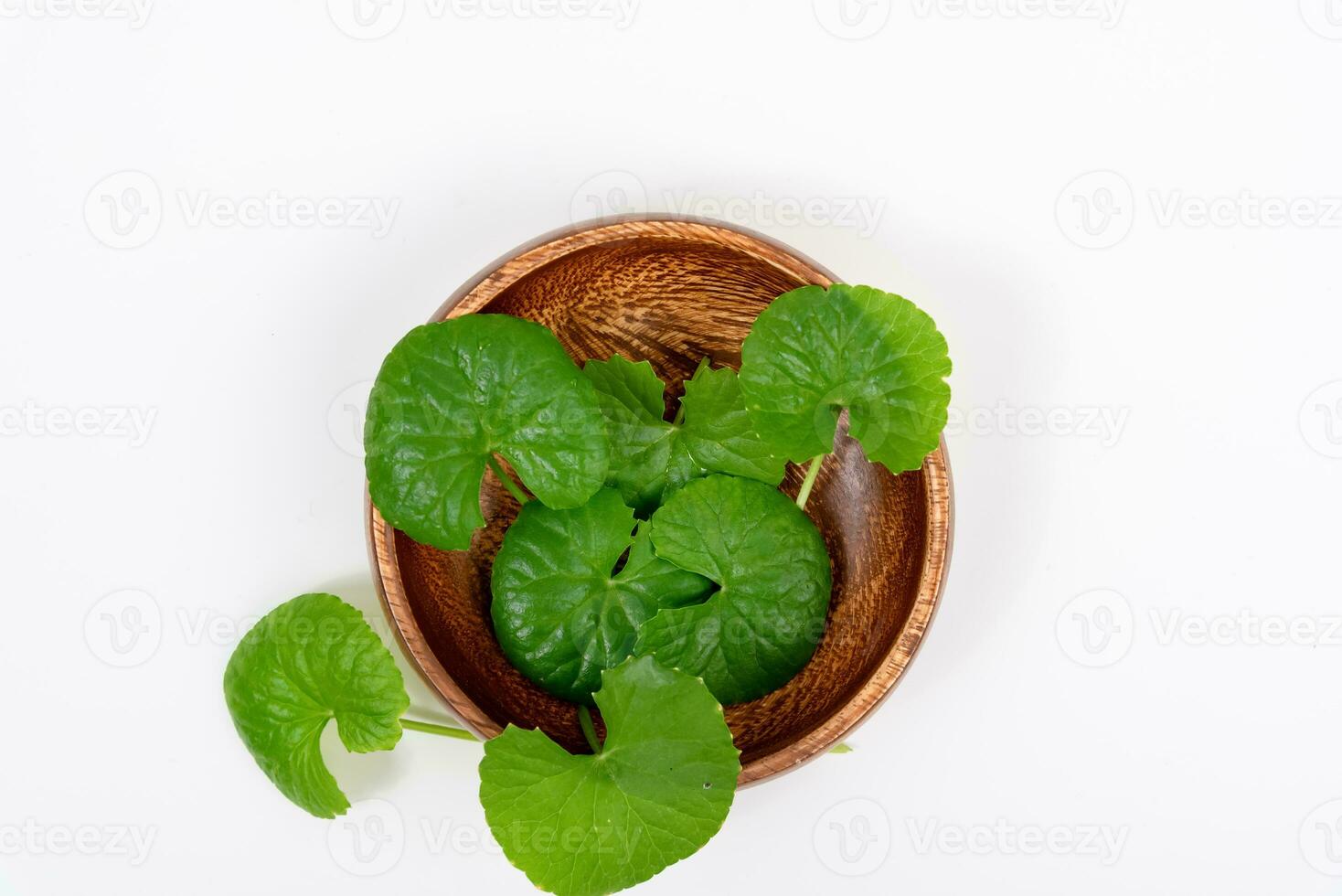 topo Visão em mesa centella asiática folhas com isolado em branco fundo foto