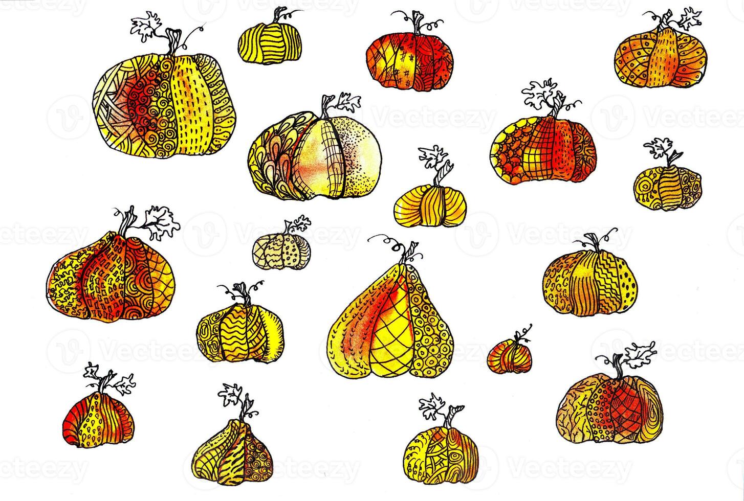 mão desenhado aguarela e tinta caneta conjunto do abóboras. padrão, colheita festival, dia das Bruxas, outono, cair. boho, rabisco foto