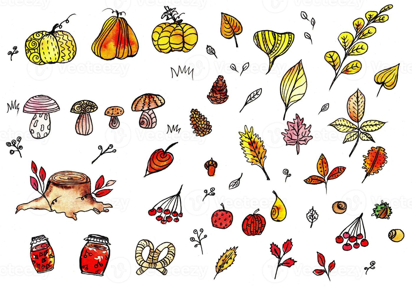 mão desenhado outono conjunto do folhas, abóboras, cogumelos, bagas, geléia jarros, nozes, cones, toco. contorno, aquarela, tinta caneta. foto