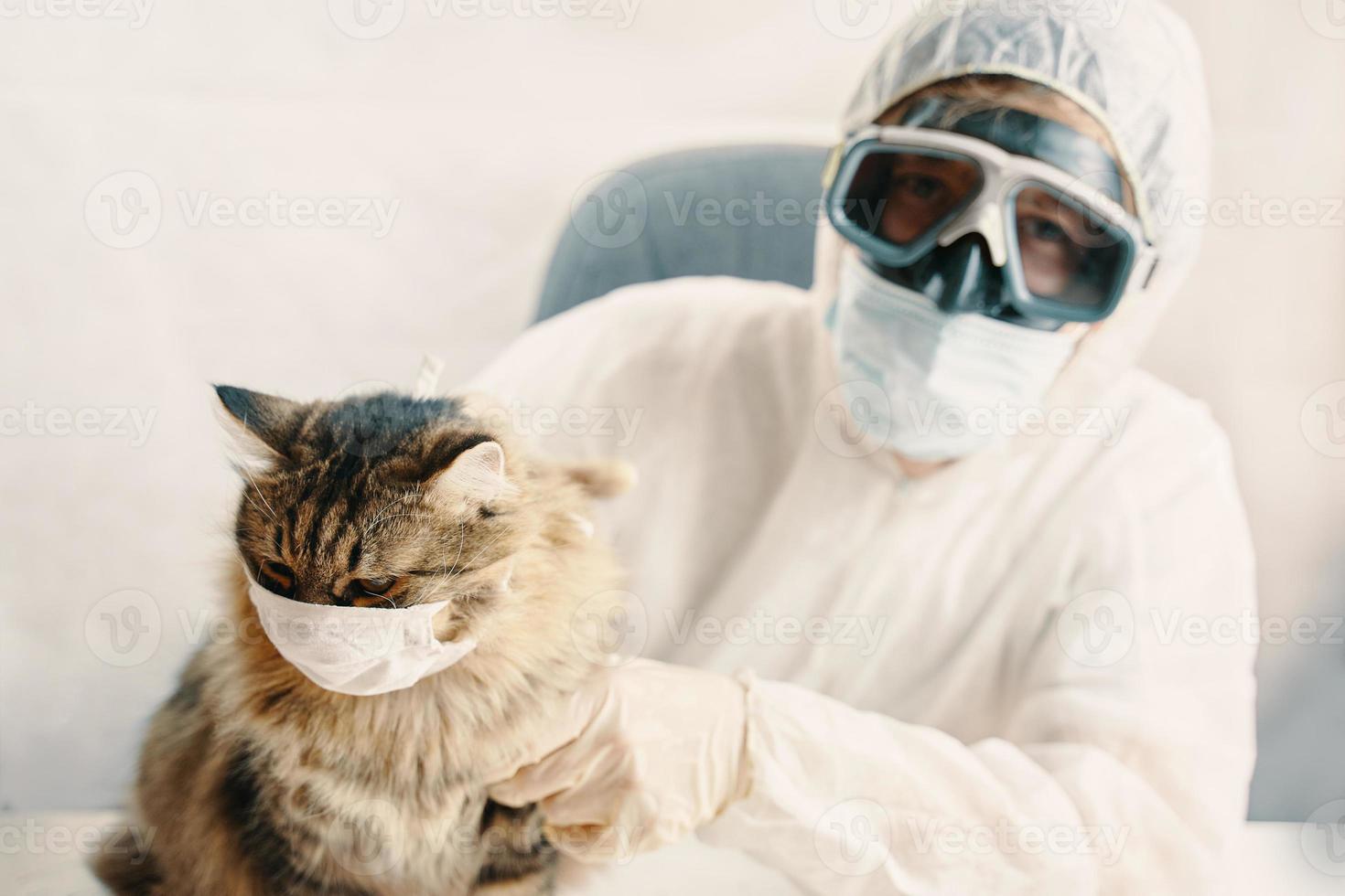 homem de terno e gato com máscara médica foto