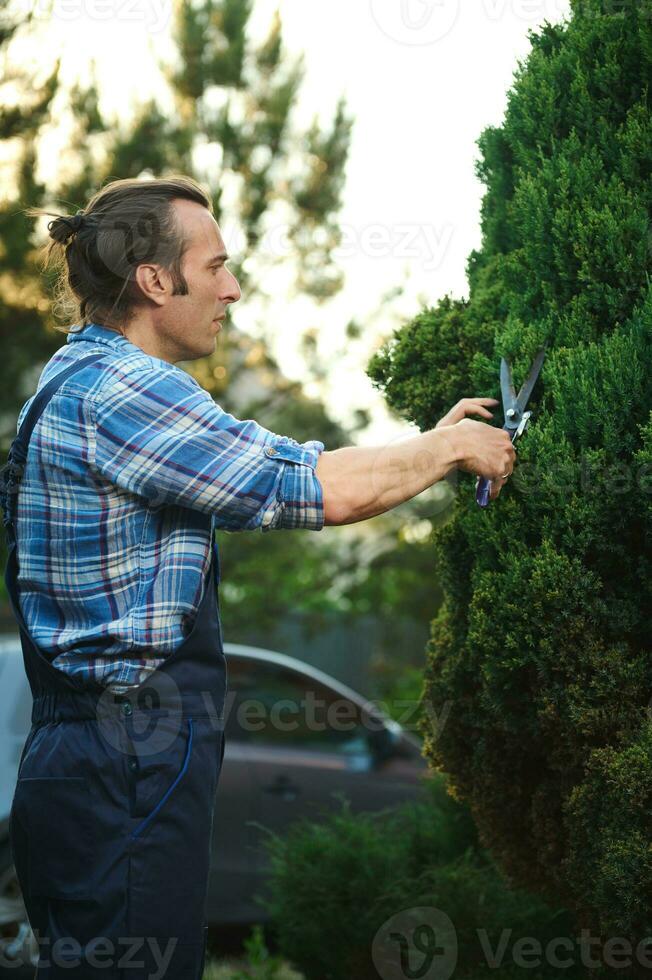 lado cintura acima retrato do uma competente profissional masculino jardineiro poda decorativo arbustos com aparar tesoura de jardim dentro Jardim foto